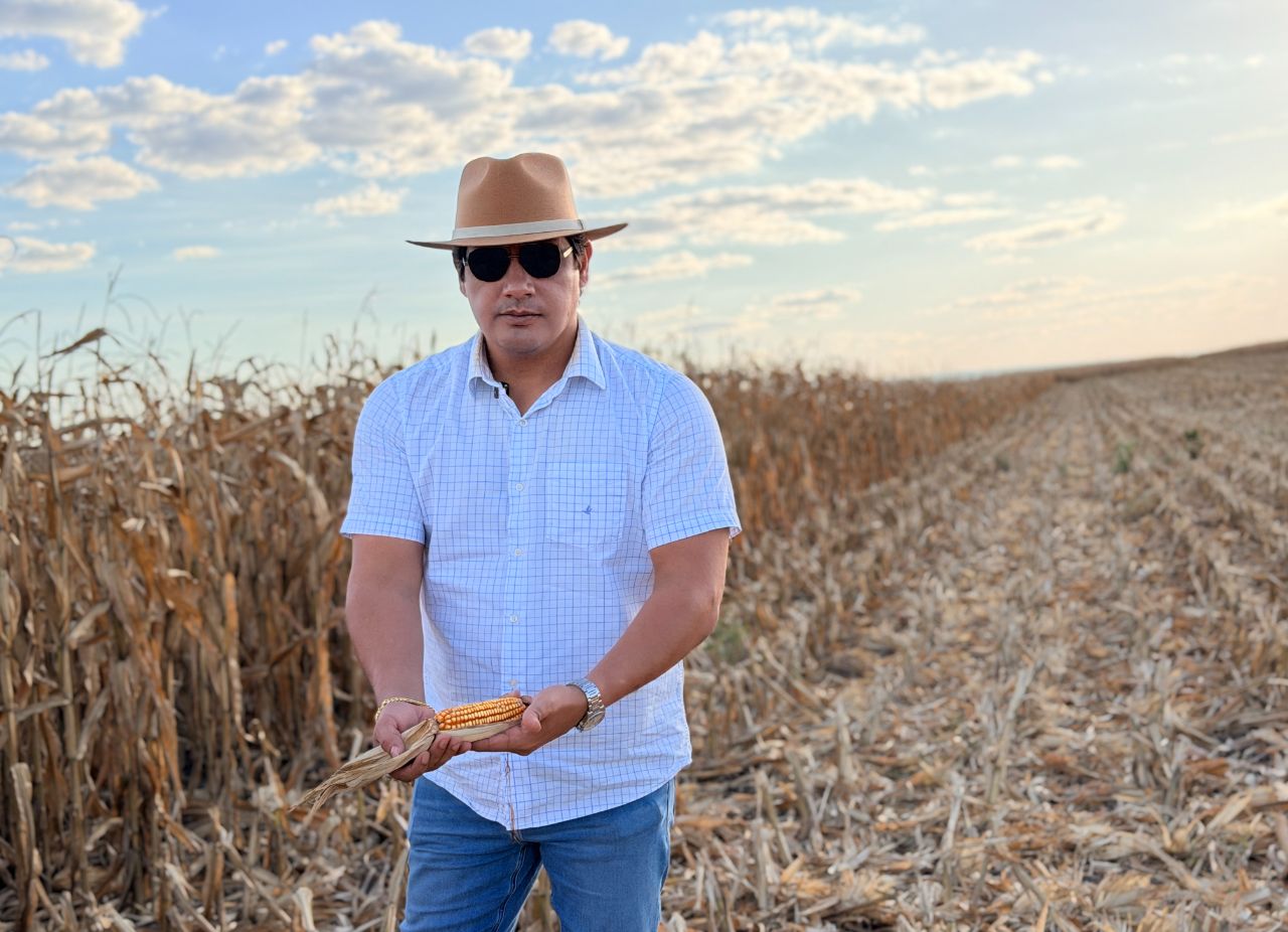 Produção de milho - Dia a dia - Galeria Chagas Agropecuária