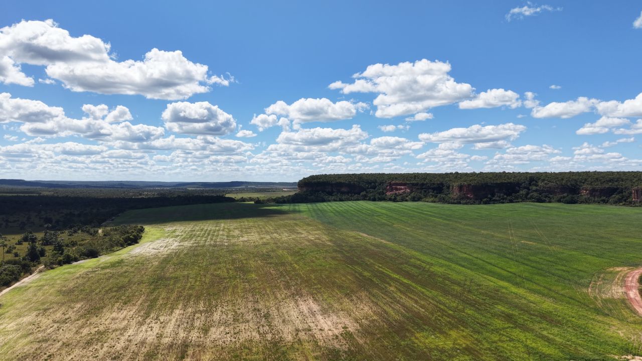 Vista aérea das plantações - Galeria Chagas Agropecuária