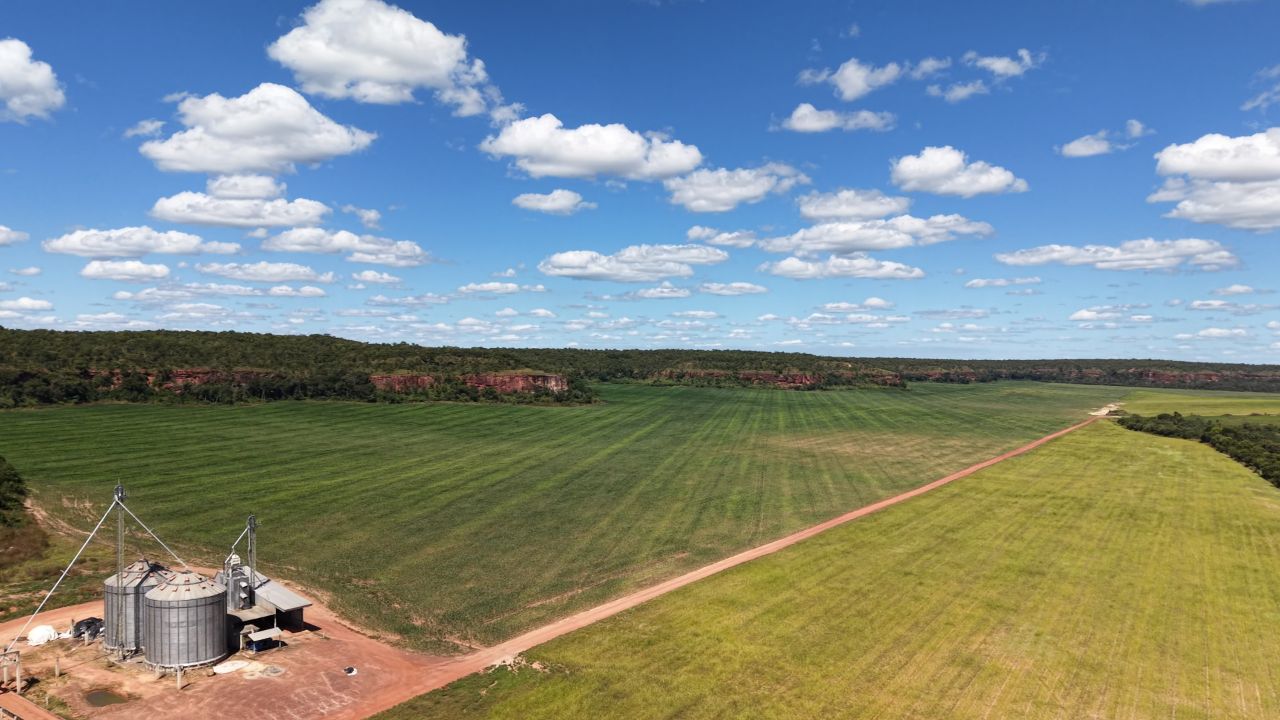 Estrutura e lavoura - Galeria Chagas Agropecuária