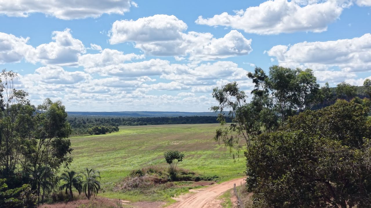 Estrada e campos - Galeria Chagas Agropecuária