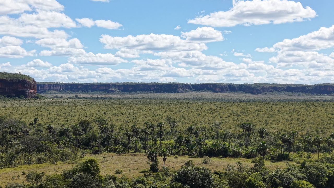 Vista da chapada - Galeria Chagas Agropecuária