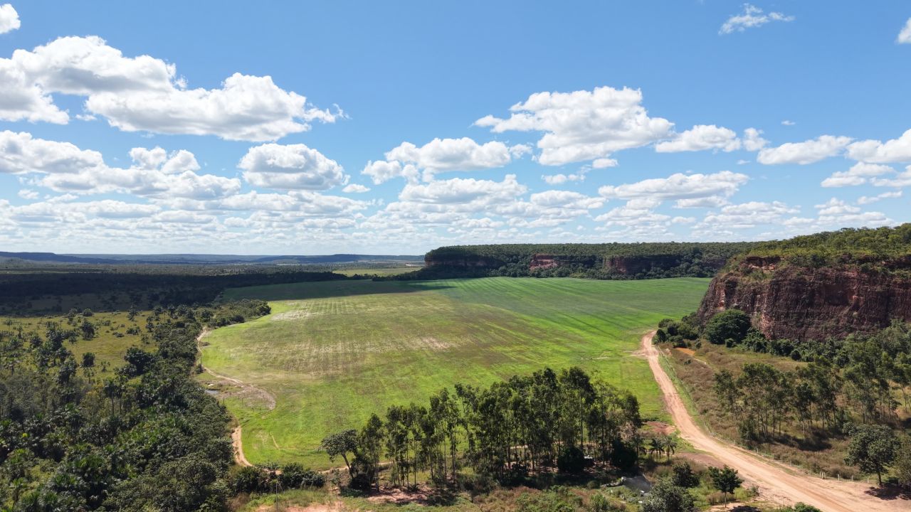 Vista das plantações - Galeria Chagas Agropecuária
