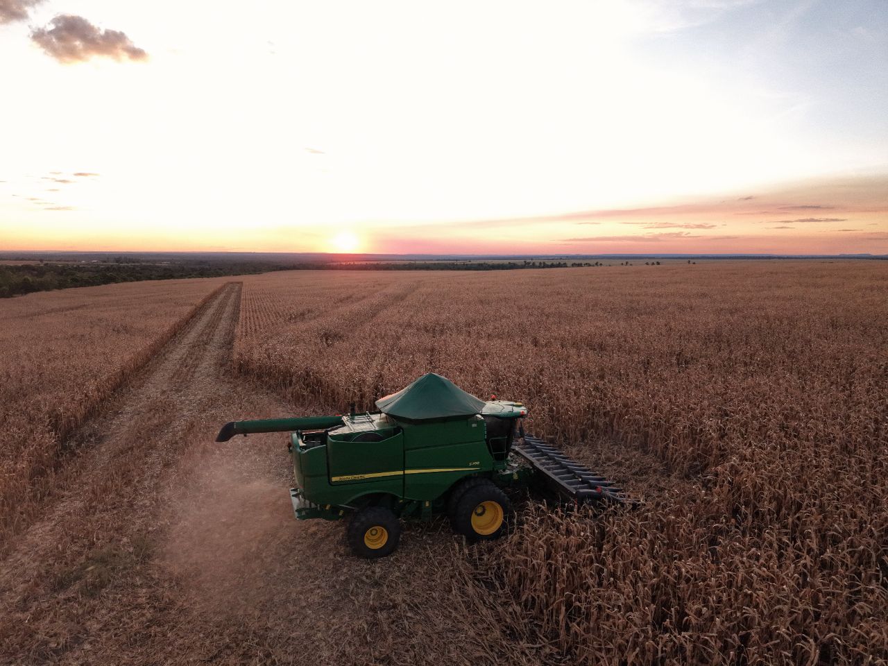Trabalho no campo ao entardecer - Galeria Chagas Agropecuária