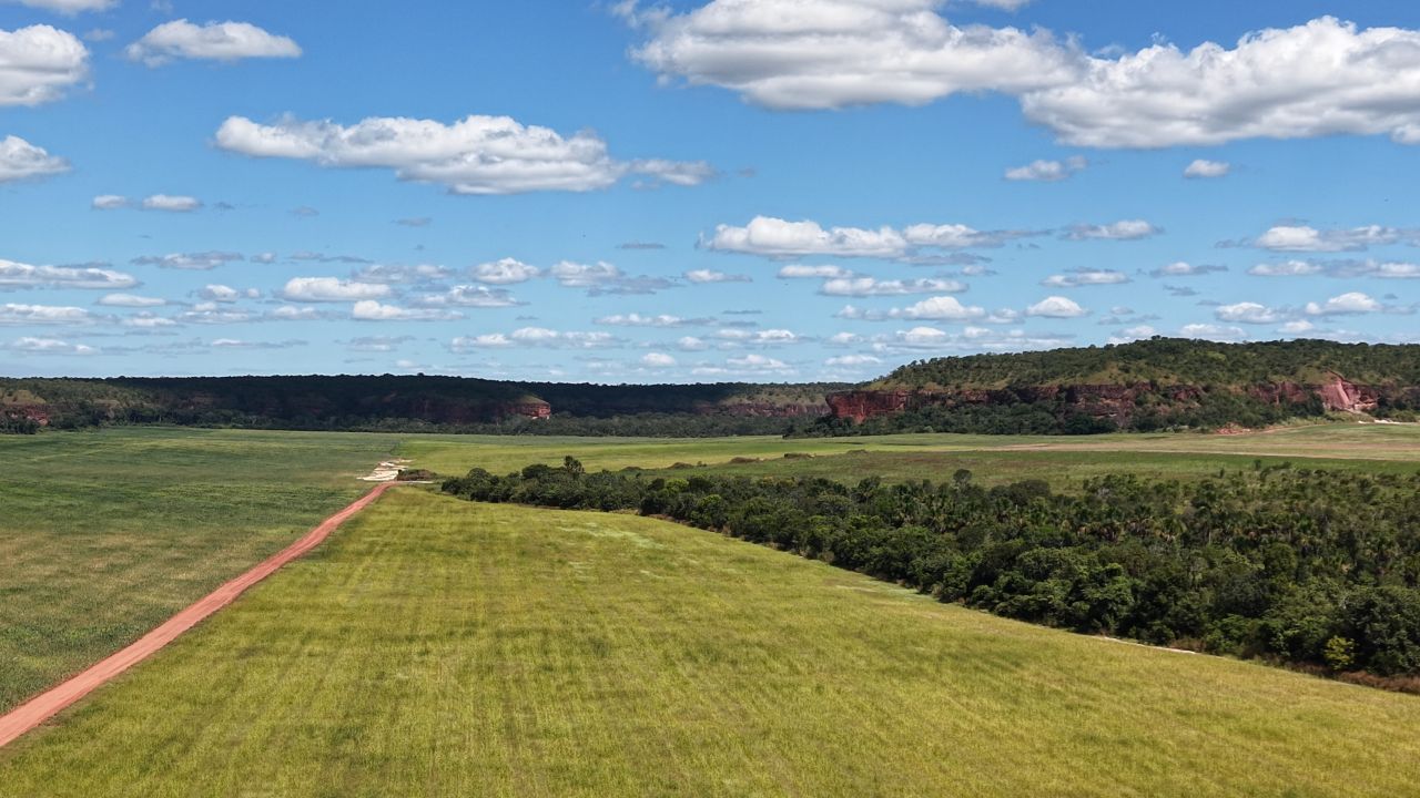 Vista das plantações - Galeria Chagas Agropecuária